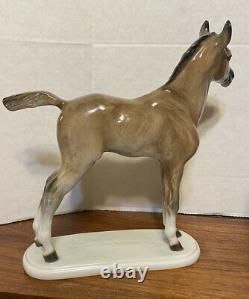 Vintage Rosenthal Porcelain 10 Horse/colt Figurine Albert Hinrich Hussmann