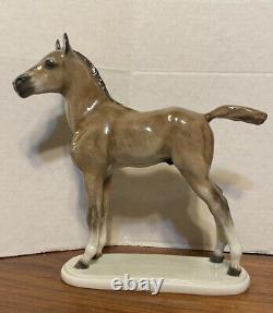 Vintage Rosenthal Porcelain 10 Horse/colt Figurine Albert Hinrich Hussmann