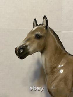 Vintage Rosenthal Porcelain 10 Horse/colt Figurine Albert Hinrich Hussmann