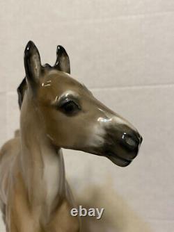 Vintage Rosenthal Porcelain 10 Horse/colt Figurine Albert Hinrich Hussmann