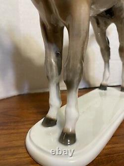 Vintage Rosenthal Porcelain 10 Horse/colt Figurine Albert Hinrich Hussmann