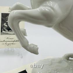 Wien Augarten Horse Porcelain Figurine Vienna Austria 1932 COA Porzellan White